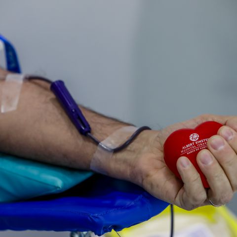 Imagem de um braço durante a doação de sangue